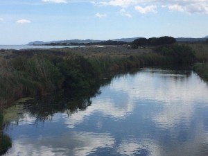 fiume e torre di san giovanni da su tiriarzu fine aprile